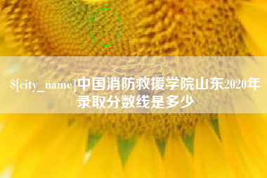 伊春中国消防救援学院山东2020年录取分数线是多少