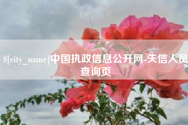 伊春中国执政信息公开网-失信人员查询页