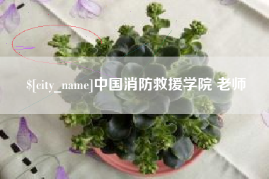 伊春中国消防救援学院 老师