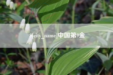 伊春中国第9金