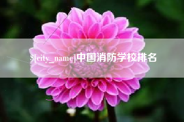 伊春中国消防学校排名