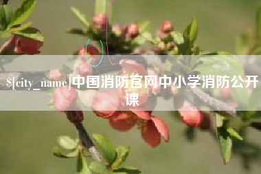 伊春中国消防官网中小学消防公开课