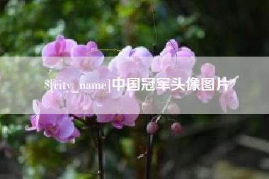 伊春中国冠军头像图片