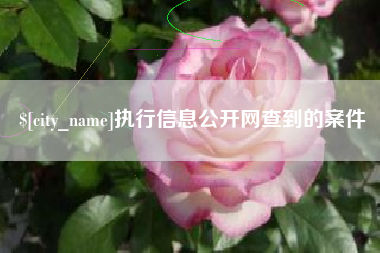 伊春执行信息公开网查到的案件