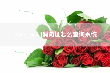 伊春消防证怎么查询系统