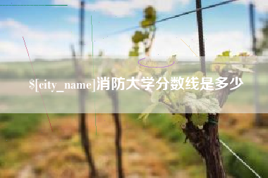 伊春消防大学分数线是多少