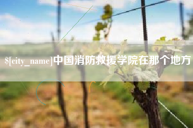 伊春中国消防救援学院在那个地方