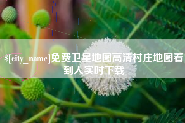 伊春免费卫星地图高清村庄地图看到人实时下载