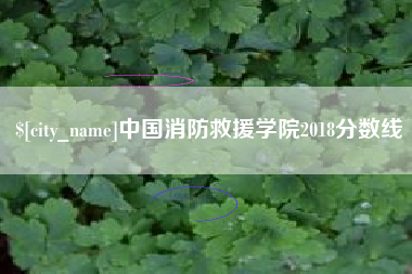 伊春中国消防救援学院2018分数线