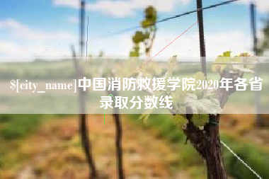 伊春中国消防救援学院2020年各省录取分数线