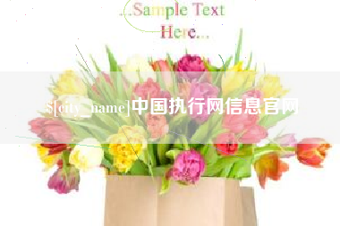 伊春中国执行网信息官网