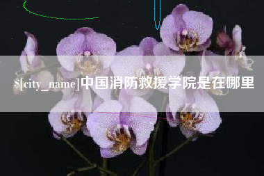 伊春中国消防救援学院是在哪里