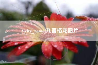 伊春九宫格龙图片