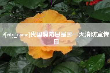 伊春我国消防日是哪一天消防宣传日