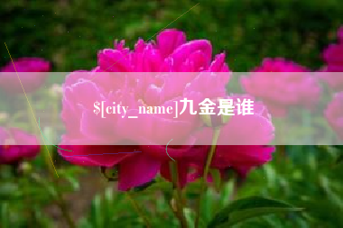 伊春九金是谁