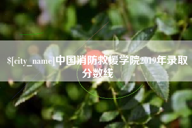 伊春中国消防救援学院2019年录取分数线
