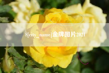 伊春金牌图片2021