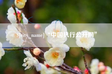 伊春“中国执行公开网”