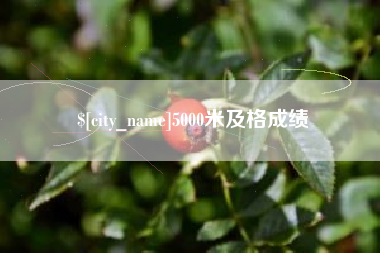 伊春5000米及格成绩