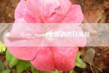 伊春全国消防日海报