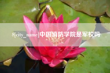 伊春中国消防学院是军校吗