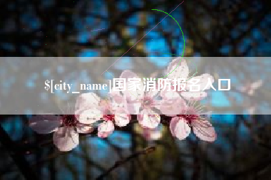 伊春国家消防报名入口