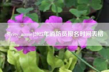 伊春2025年消防员报名时间表格