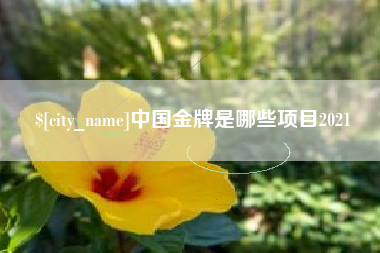 伊春中国金牌是哪些项目2021