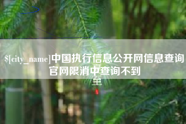 伊春中国执行信息公开网信息查询官网限消中查询不到