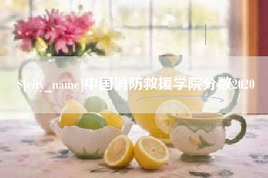 伊春中国消防救援学院分数2020