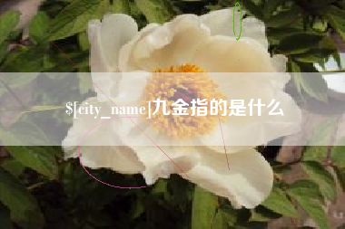 伊春九金指的是什么
