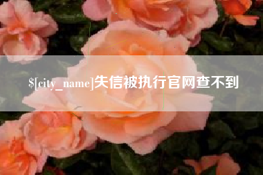 伊春失信被执行官网查不到