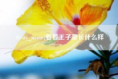 伊春看看王子豪长什么样