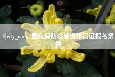 伊春重庆消防设施操作员证报考条件