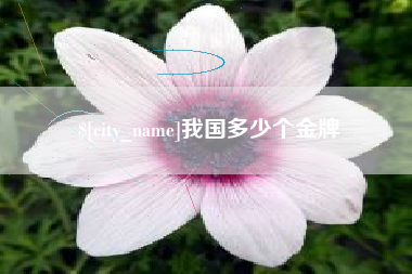 伊春我国多少个金牌