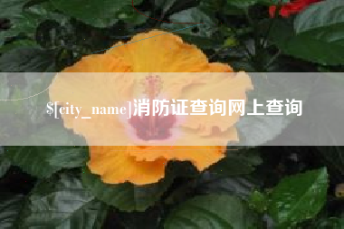 伊春消防证查询网上查询