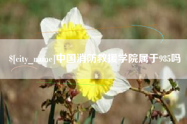 伊春中国消防救援学院属于985吗