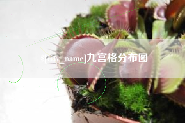 伊春九宫格分布图