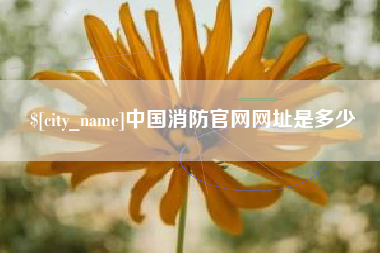 伊春中国消防官网网址是多少