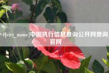 伊春中国执行信息查询公开网查询官网