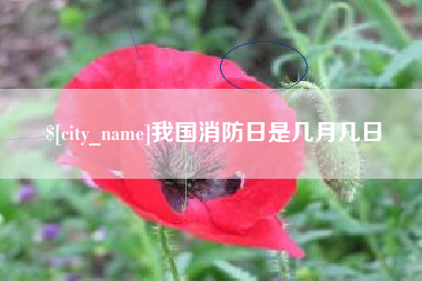 伊春我国消防日是几月几日