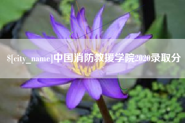 伊春中国消防救援学院2020录取分