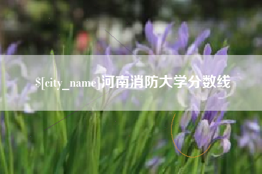 伊春河南消防大学分数线