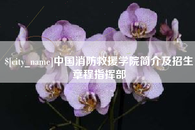 伊春中国消防救援学院简介及招生章程指挥部