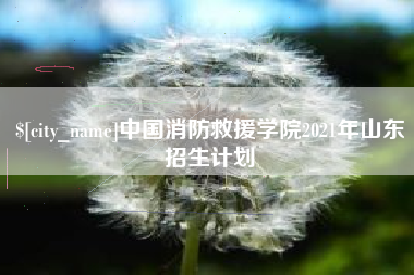 伊春中国消防救援学院2021年山东招生计划