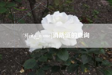伊春消防证的查询