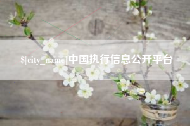 伊春中国执行信息公开平台