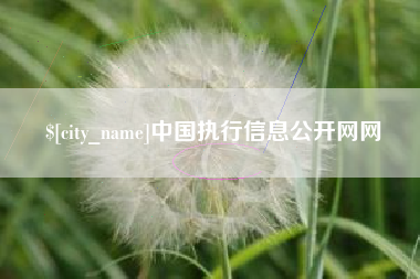 伊春中国执行信息公开网网