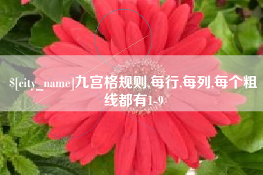 伊春九宫格规则,每行,每列,每个粗线都有1-9