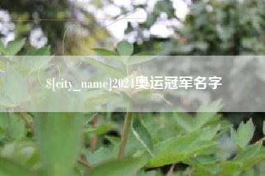 伊春2024奥运冠军名字